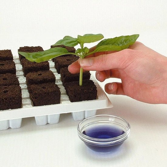 Sēšanas un spraudeņu apsakņošanas kubiki 1gb - www.augi-plants.lv