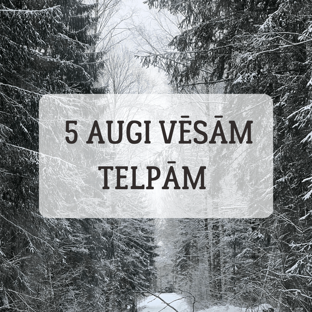 5 TELPAUGI VĒSĀM TELPĀM - www.augi-plants.lv