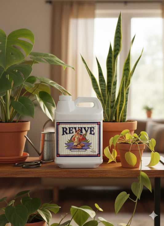 Revive