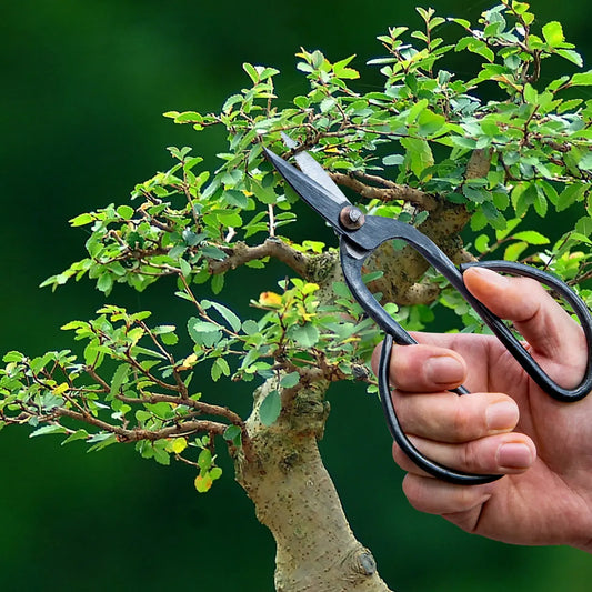 Bonsai scissors