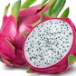 Hylocereus - www.augi-plants.lv