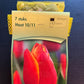 Tulpes 5