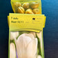 Tulpes 3