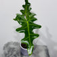 Alocasia portei
