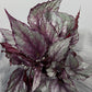 Begonia Beleaf 3 - www.augi-plants.lv