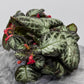 Episcia Silver Shield