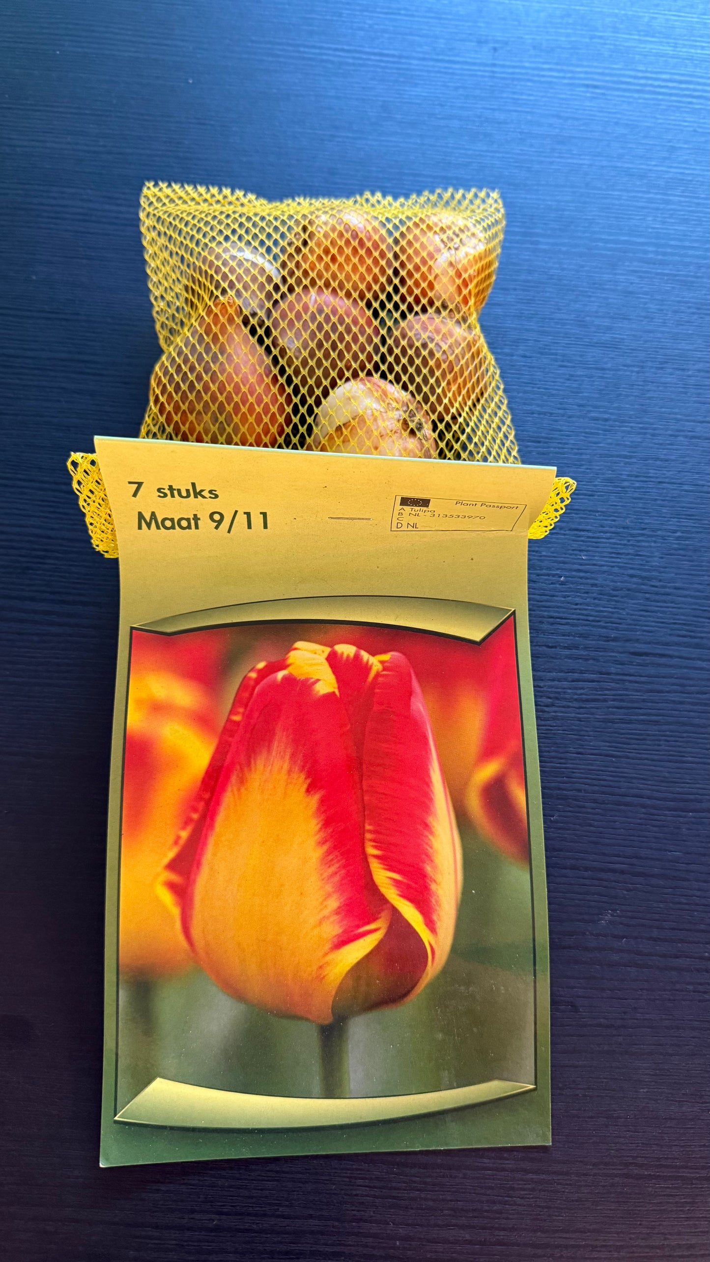 Tulpes