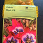 Tulpes 7