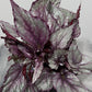 Begonia Beleaf 3 - www.augi-plants.lv