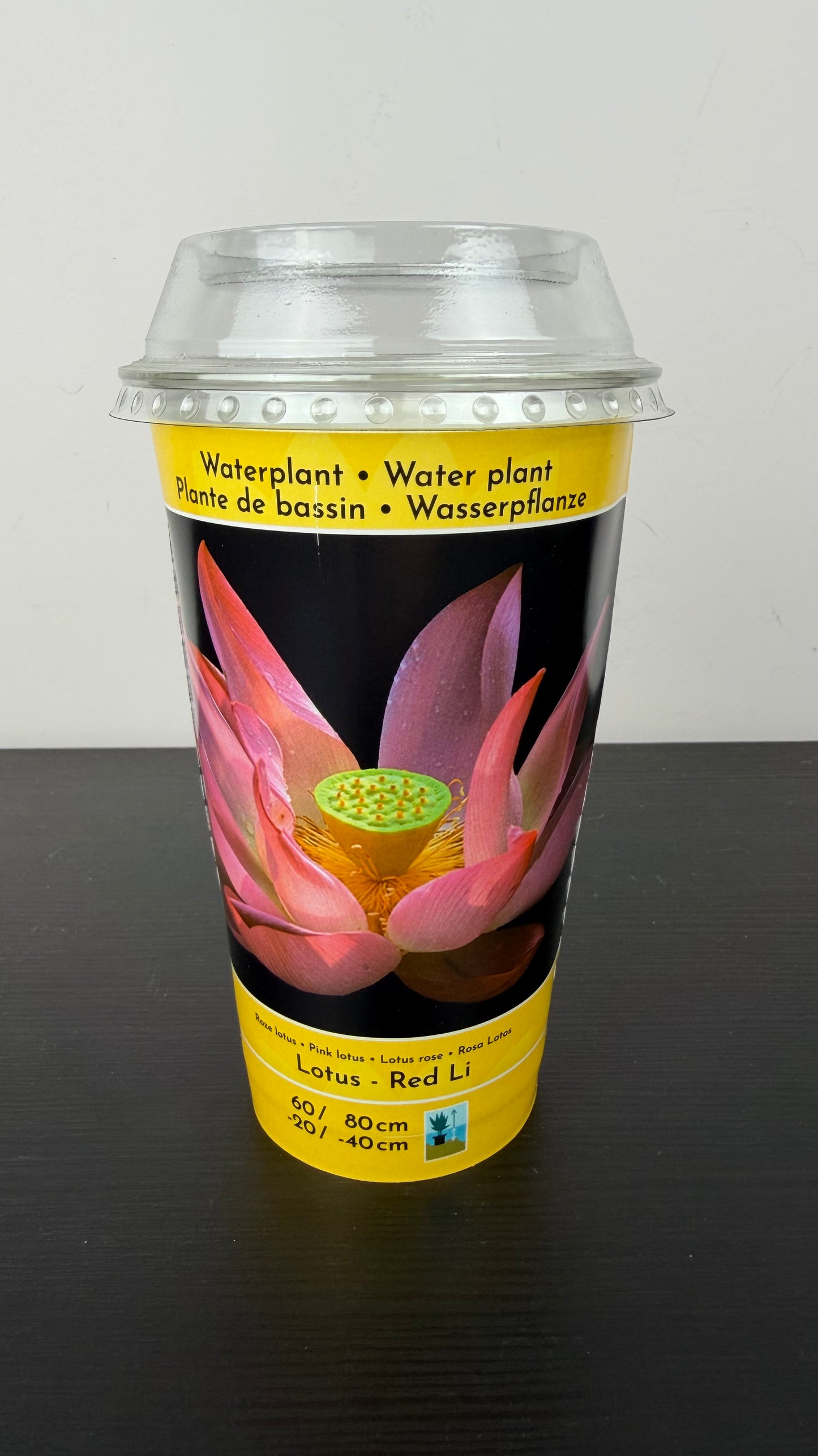 Lotus Red Li