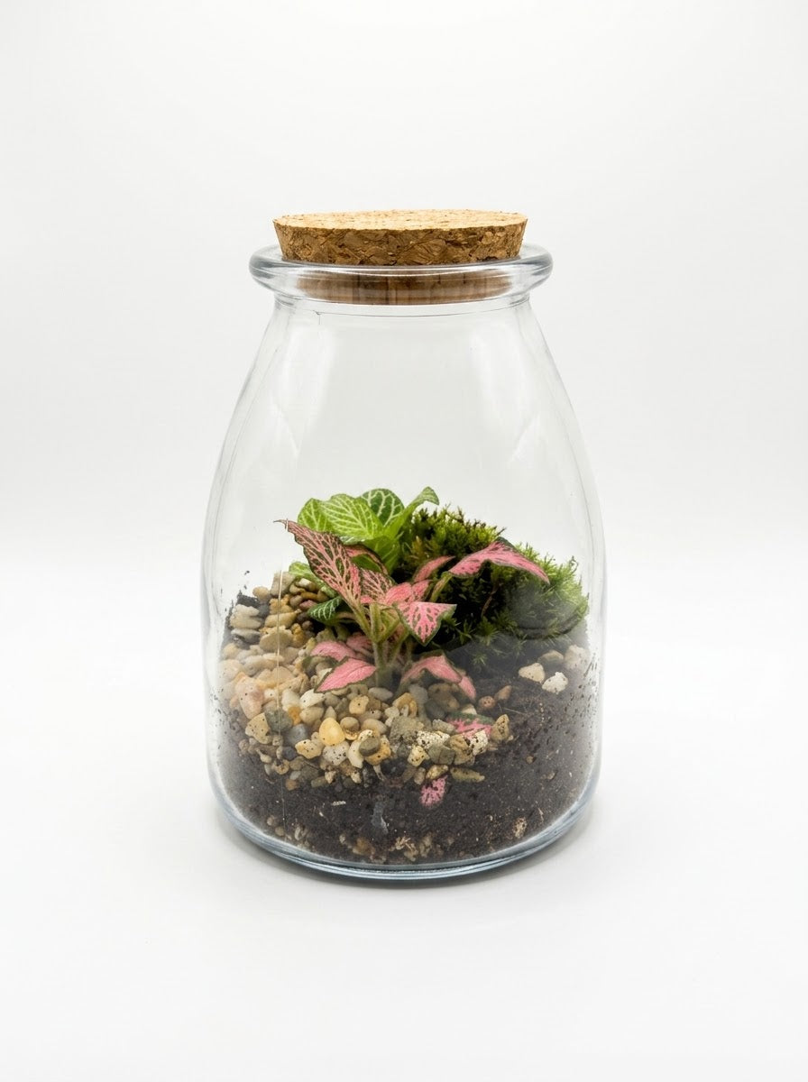 Terrarium Composition