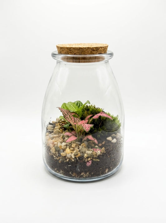 Terrarium Composition