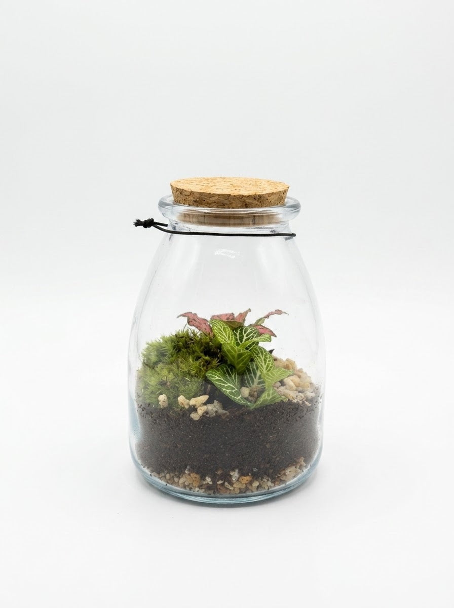 Terrarium Composition
