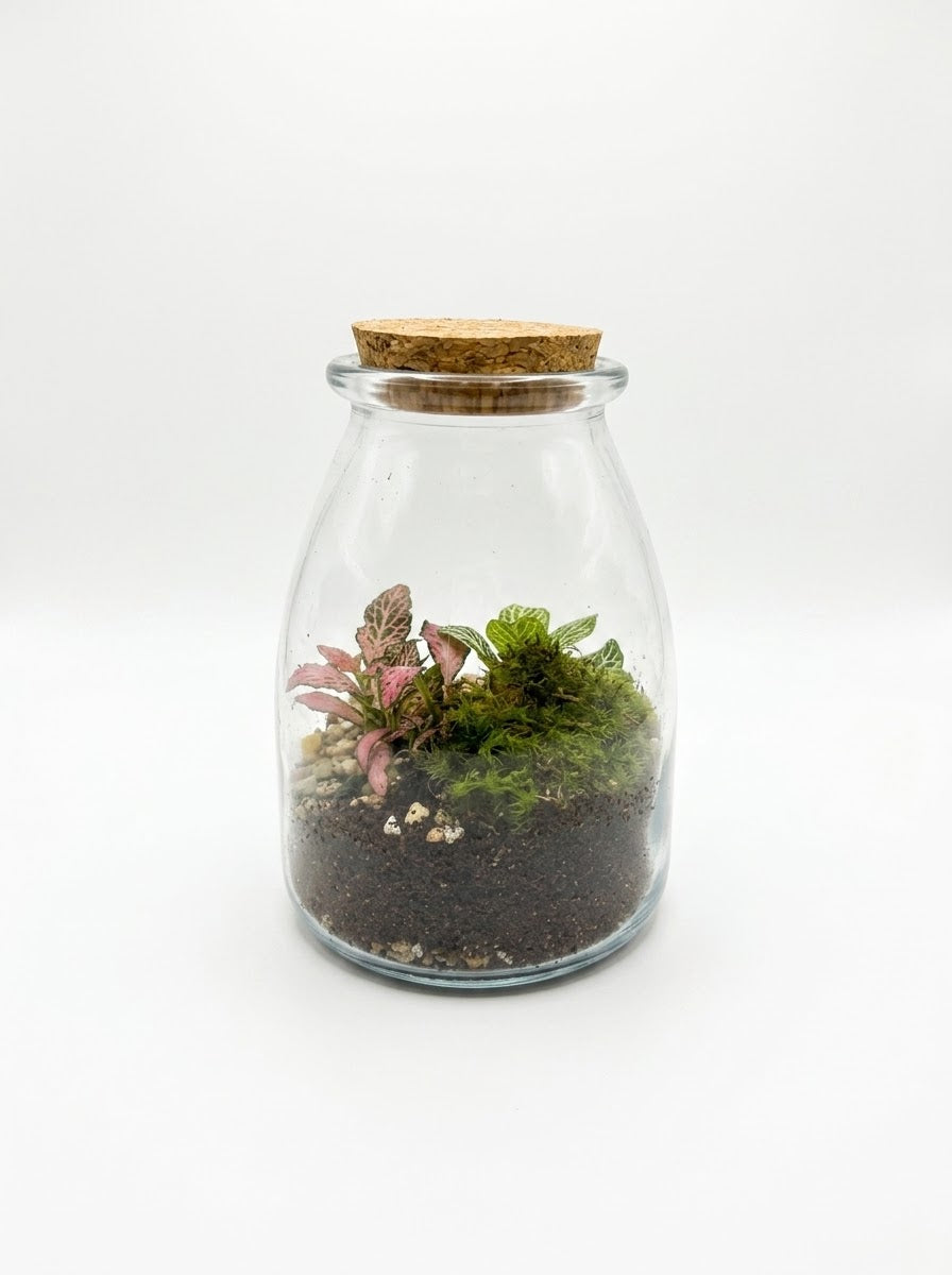 Terrarium Composition