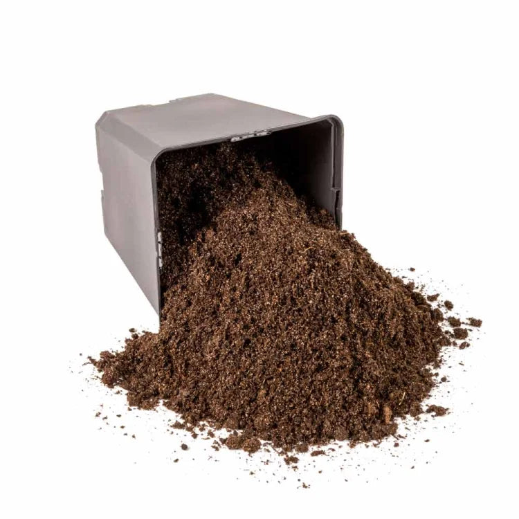 Maaperä Terveellinen alku siemenille ja pistokkaille SEEDING&CUTTING 25L