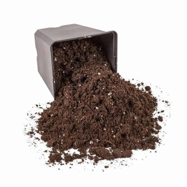 Maaperä lepakkolannoitteella Bat Guano BATMIX 25L