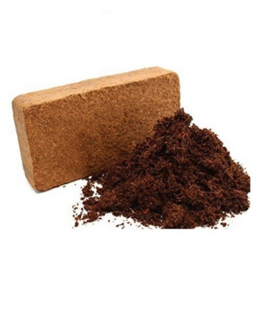 Kookosjauho Cocos Brix 7L 1 kpl