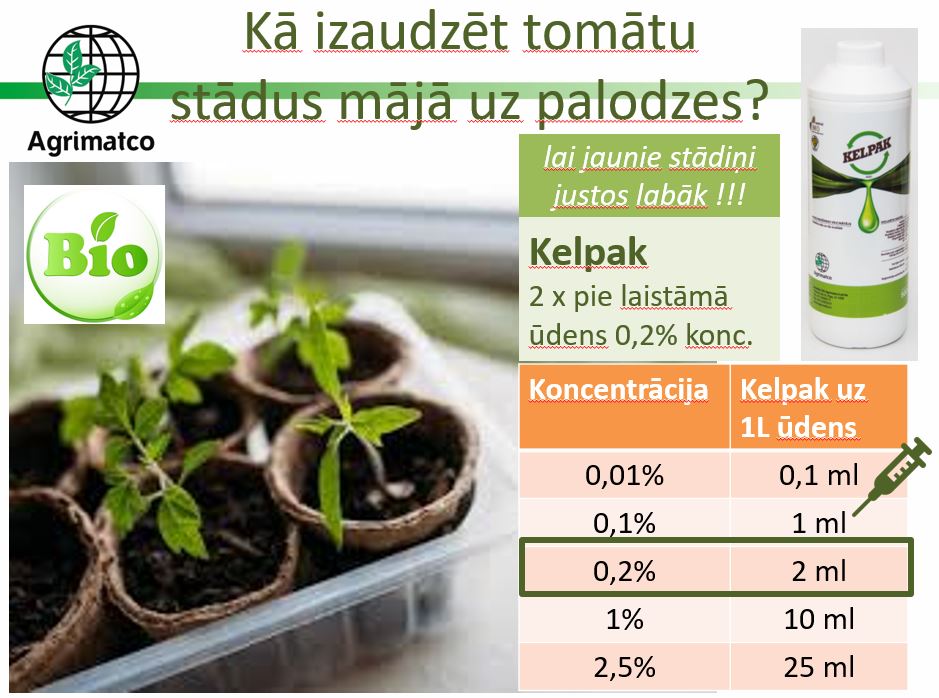 Fertilizer promotes growth and rooting Kelpak 125ml