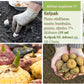 Fertilizer promotes growth and rooting Kelpak 125ml