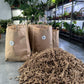 Sfagnu Sūnas - www.augi-plants.lv