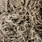 Sfagnu Sūnas - www.augi-plants.lv