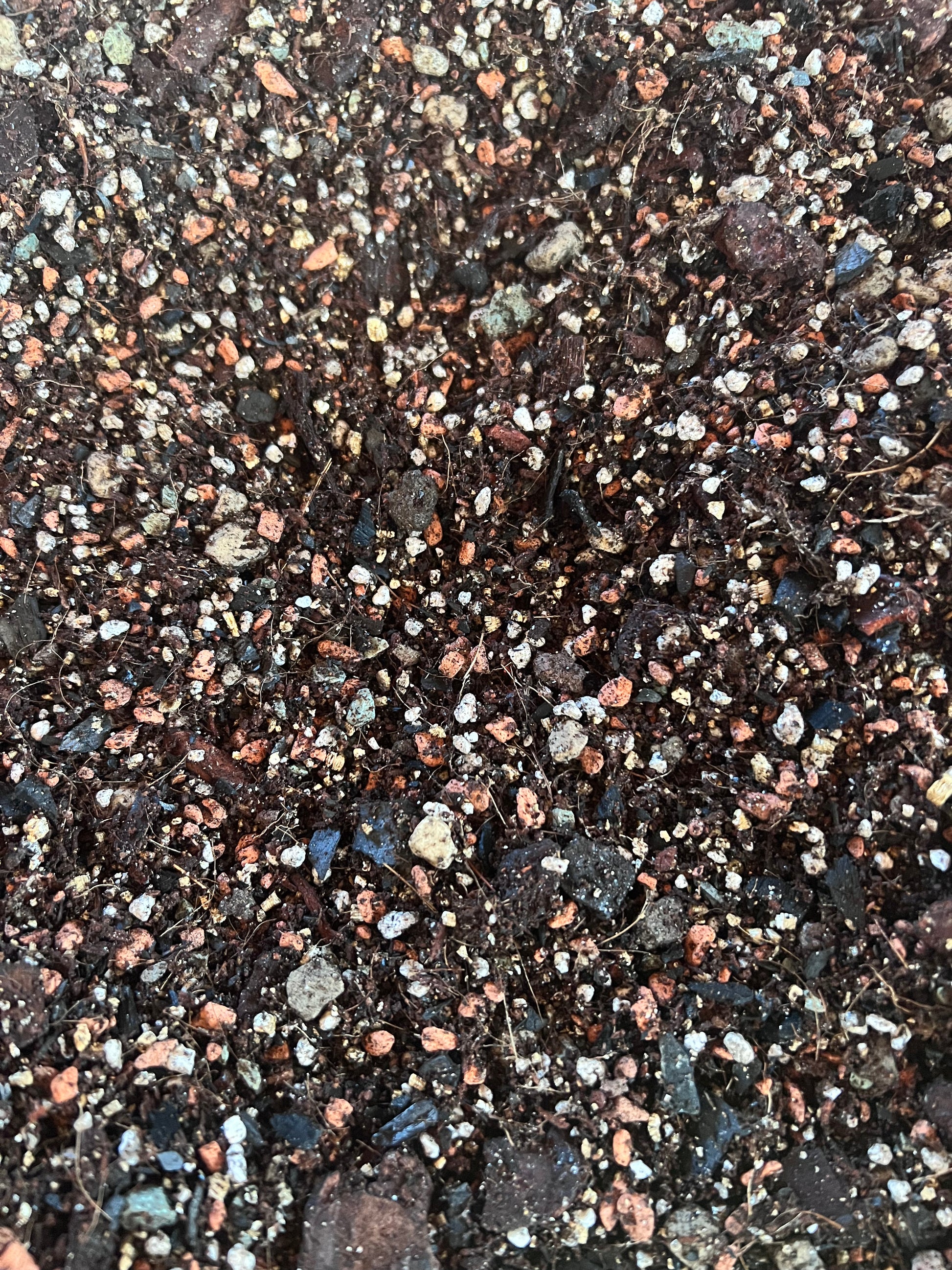 Telpaugu augsnes iepakojums premium klases - www.augi-plants.lv